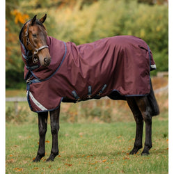 Horseware Amigo Bravo 1200D Plus Turnout Rug + Hood 100g Lightweight 5'6'-7'3'
