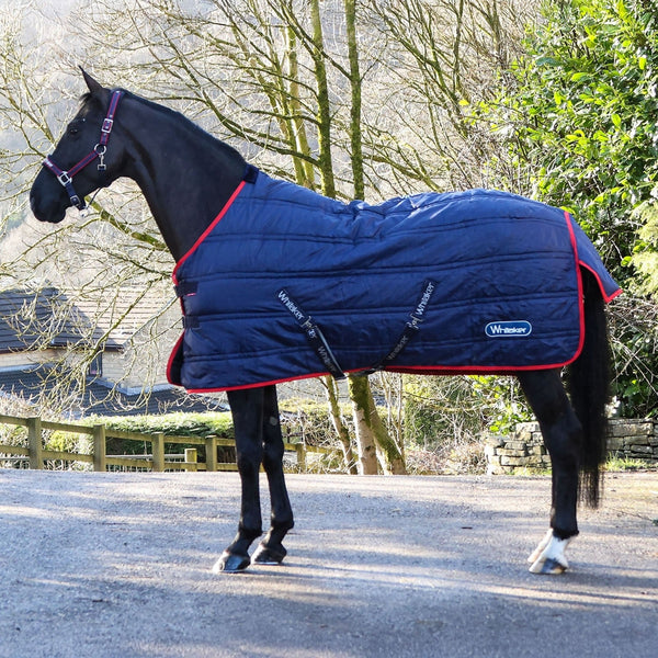 Whitaker Rastrick V2 200G Standard Mediumweight Stable Rug Navy/Red 4'9'- 7'0'
