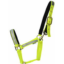 HyViz Reflective Fieldsafe Head Collar Flourescent Field Safe Head Collar Yellow