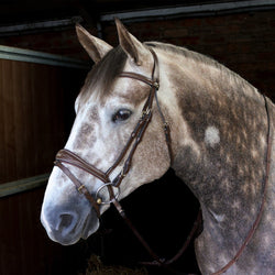 Whitaker Venice Fancy Stitch Anatomical Flash Bridle + 9 Loop Rubber Grip Reins