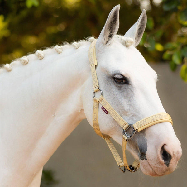 LeMieux Logo Headcollar Woven Nylon Adjustable Anatomic Mesh Padded Head Collar