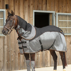 Equilibrium Megnetic Therapy Rug Improves Circulation and Injury Recovery 5'6-7'0'