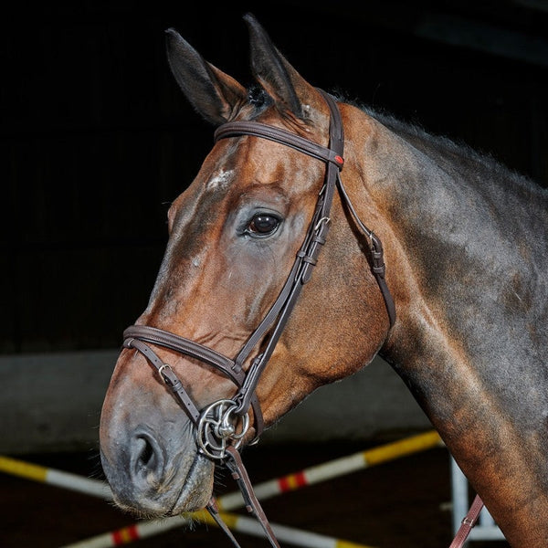 Whitaker Ready To Ride Pre-Oiled Leather Flash Bridle Pony/Cob/Full Black/Havana