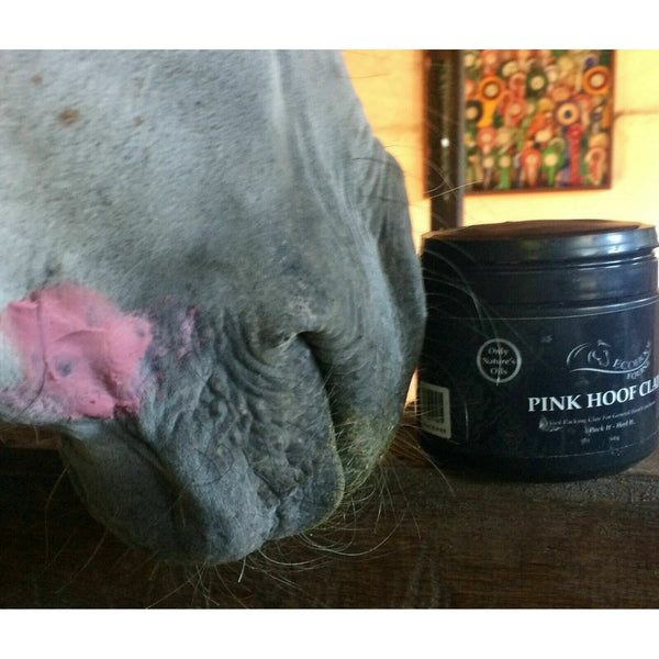 EcoHoof Pink Hoof Clay for Horse Soles Frogs Cuts Good Bacteria Oils 500ml/250ml