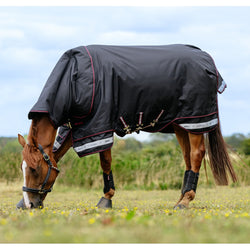 LeMieux Arika Storm-Tek Mediumweight 200g 1200d Turnout Rug + Hood 4'9' - 7'3'
