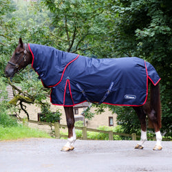 Whitaker Rastrick V2 250G Turnout Rug Combo With Detachable Neck Medium 4'9- 7'0
