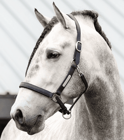 Equilibrium Stellar Headcollar Tested Field Safe BreakAway Halter New 2024 Style