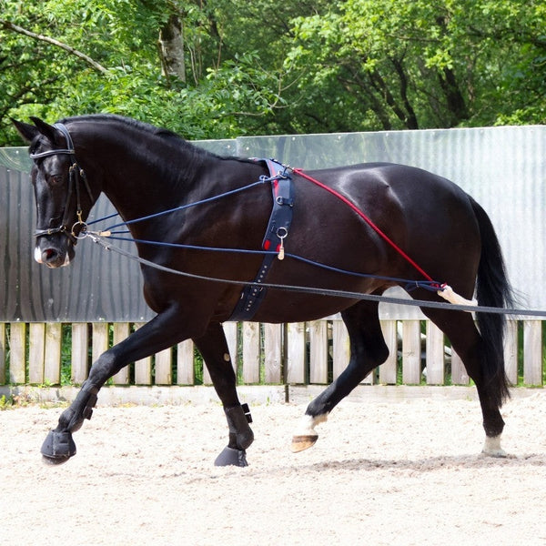 Whitaker Training System Self Carriage Lunge Lunging Pessoa and Adjustable Roller
