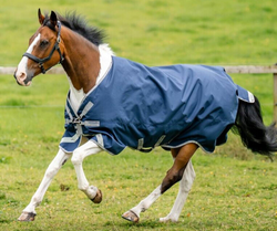 Horseware Amigo Bravo XL 1200d Turnout Rug Big Horse Lite/Medium 150g 5'9'-7'6'
