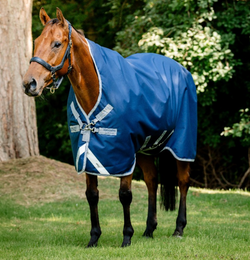 Horseware Amigo Bravo 1200D Wug High Neck Lightweight 50g Turnout Rug 5'6'-7'3'