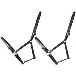 Hy Equestrian Leather Foal Head Collar Adjustable Brass Buckles Black/Brown S-XL