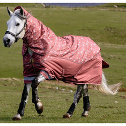LeMieux Star Turnout Rug 200g + Hood Mediumweight Ripstop 600d Spice 3'9-6'9'