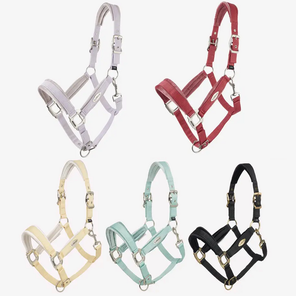 LeMieux Versailles Headcollar Soft Velvet Padded Head Collar Durable Winter 2025