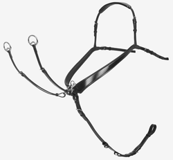 LeMieux Bridge Breastplate and Removable Martingale 3 Point Hunter Girth Attach