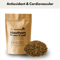 Horse Straights Direct Hawthorn Flower and Leaf Herbal Cardiovascular Supplement