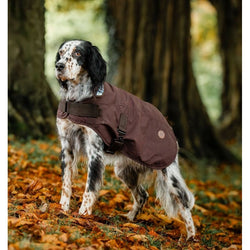 Horseware Newmarket Heritage Waxed Cotton Fleece Lined Warm Dog Coat Navy/Brown