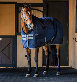 Horseware Rhino Stable Rug With Rolled Fleece Neck Cuff Lightweight 100g 5'6-7'3