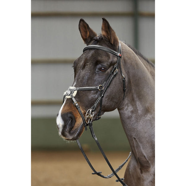 Whitaker Valencia Pro Deluxe Mexican Grackle Bridle With 9Loop Rubber Grip Reins