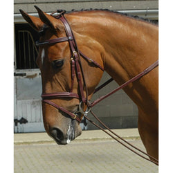 Whitaker Training Rein Encourages Use Of Neck/Back muscles Black/Brown One Size