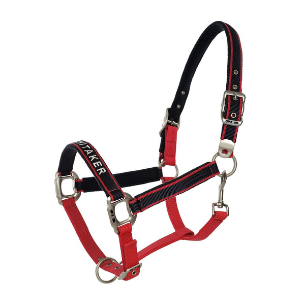 Whitaker Signature Padded Fleece Headcollar Head Collar Red/Navy Pony/Cob/Full