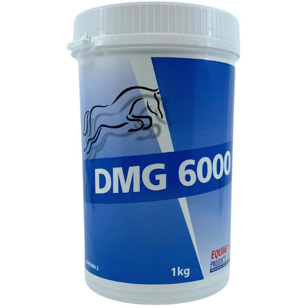 Equine Products UK DMG 6000 Reduces Lactic Acid and Fatigue Recovery Supplement