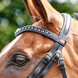 Whitaker Lynton Curved Crystal U-Shaped Diamante Leather Browband Black/Havana