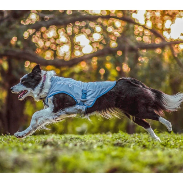 Kurgo Core Cooling Vest Icy Cold Dog Cool Coat Cools BodyTemperature WarmWeather