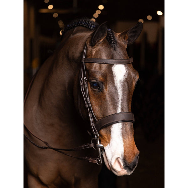LeMieux Flat Hunter Bridle with Laced Reins Oiled Anatomic Padded Comfort Brown
