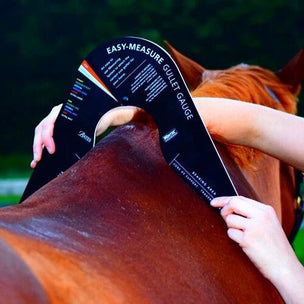 Bates Wintec Arena Gullet Gauge Easy Change Correct Saddle Width Fitting Guide