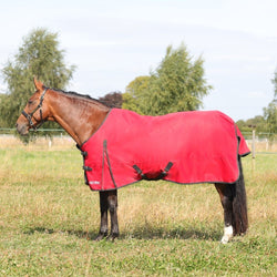 Hy Equestrian HyCONIC 100g 600D Medium/Light Weight Turnout Rug Red 4'6'-7'3'