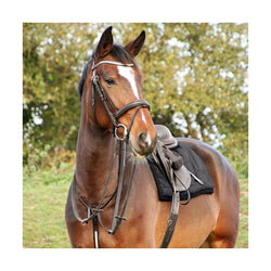 Hy Equestrian Rosciano Rose Gold Bridle Leather Bling Bridle Brown/Black P/C/F