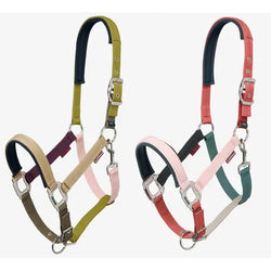 LeMieux Medley Headcollar Adjustable Multi Coloured Everyday Nylon Head Collar