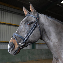 Whitaker Ready To Ride Pre-Oiled Leather Snaffle Bridle Pony-XFull Black/Havana