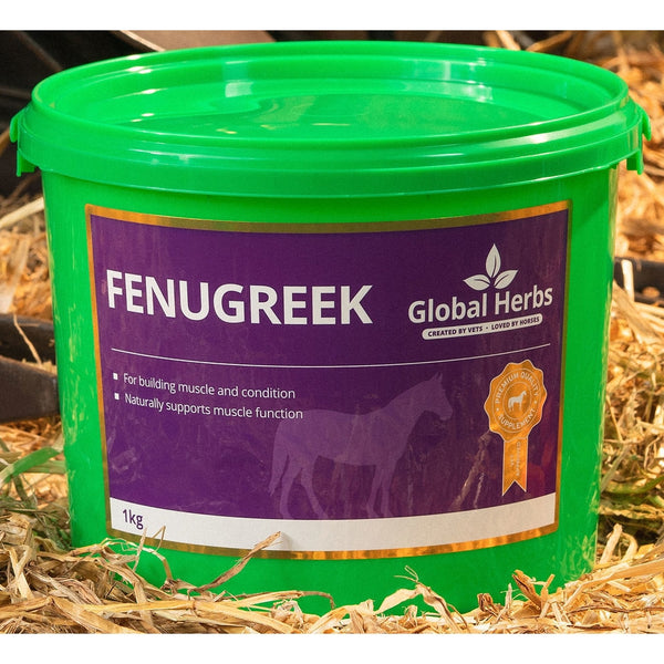 Global Herbs Fenugreek Seeds Support Muscle Condition Horse Appetite Supplement