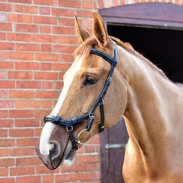 Equilibrium Nose Muzzle Net Anatomical Bridle Pollen and Head Shaking Relief Black