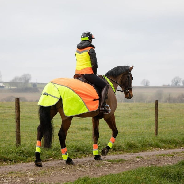 Equisafety Hi-Vis Waterproof Quarter Sheet Reflective Hi Viz Exercise Rug XXS-XF