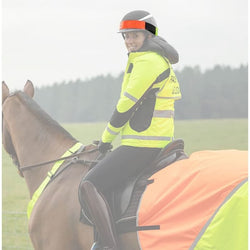 Equisafety Multi-Coloured Hat Band Stretch Reflective Hi Viz Hatband All Colours