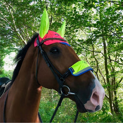 Equisafety Multi-Coloured Noseband Hi Viz Reflective Nose/Cheek Pieces/Reins