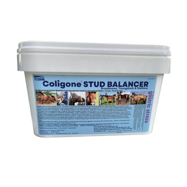 H.Bradshaws Coligone Stud Balancer Supplement Support Mares Youngstock Stallions
