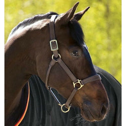 Horseware Amigo Luxury Leather Padded Headcollar Black/Brown Pony/Cob/Full/XFull
