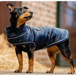 Horseware Rambo Signature Dog Rug 200g Contour Warm Cosy Dry Rug Navy XXS-XXXL