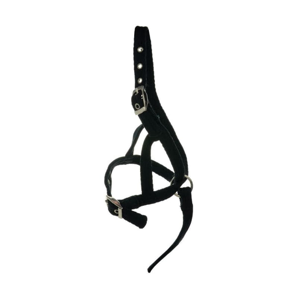 Hy Equestrian Foal Slip Halter Soft Webbing Foal Slip Black One Adjustable Size