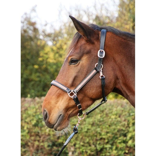 Hy Equestrian Rosciano Rose Gold Head Collar Bling Diamantes Black/Brown P/C/F