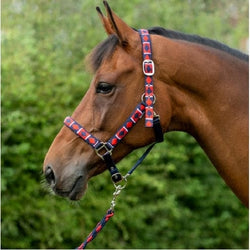 Hy Equestrian Woven Polo Head Collar and Lead Rope Set with Aztec Style Detailing