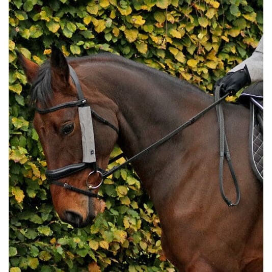 HyViz Hi-Vis Reflective Silva Flash Flourescent Bridle Set Browband/Cheek Silver