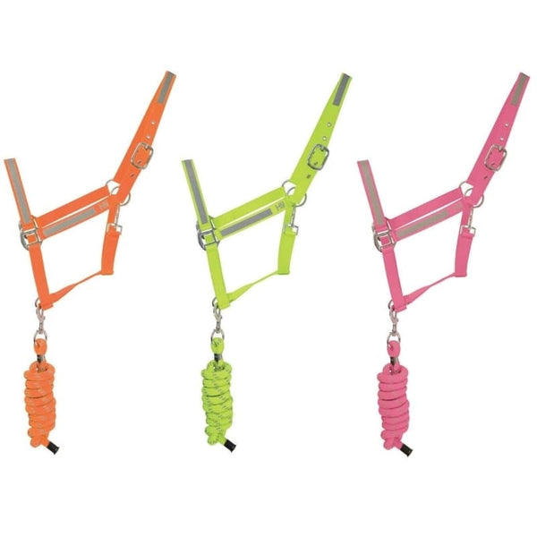 HyVIZ Reflective Flourescent Hi Viz Head Collar and Lead Rope Orange Cob size SALE