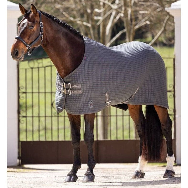 LeMieux Arika Clima-Tek Rug Wicking Post Exercise Tech Cooler Navy/Grey/Burgundy