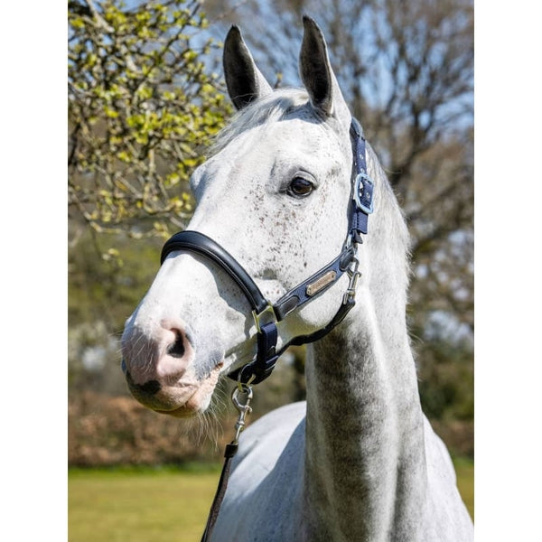 LeMieux Capella Headcollar Soft Wide Ergonomic Pressure Relief Padded Leather