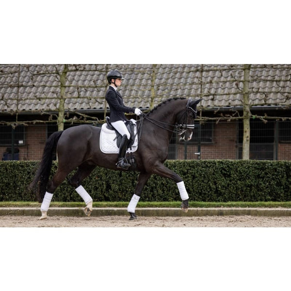 LeMieux Crystal Suede Dressage Pad Square Quilted Saddlepad Burgundy/Black/White