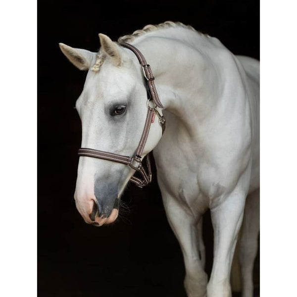 LeMieux Essential Yard Headcollar Padded Head Collar Durable Nylon Cob/Full 2024